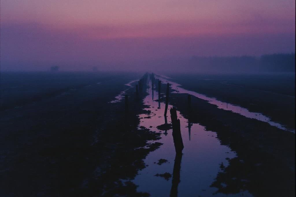 Les marais de Tantramar au crépuscule — l'horizon le plus plat du Nouveau-Brunswick